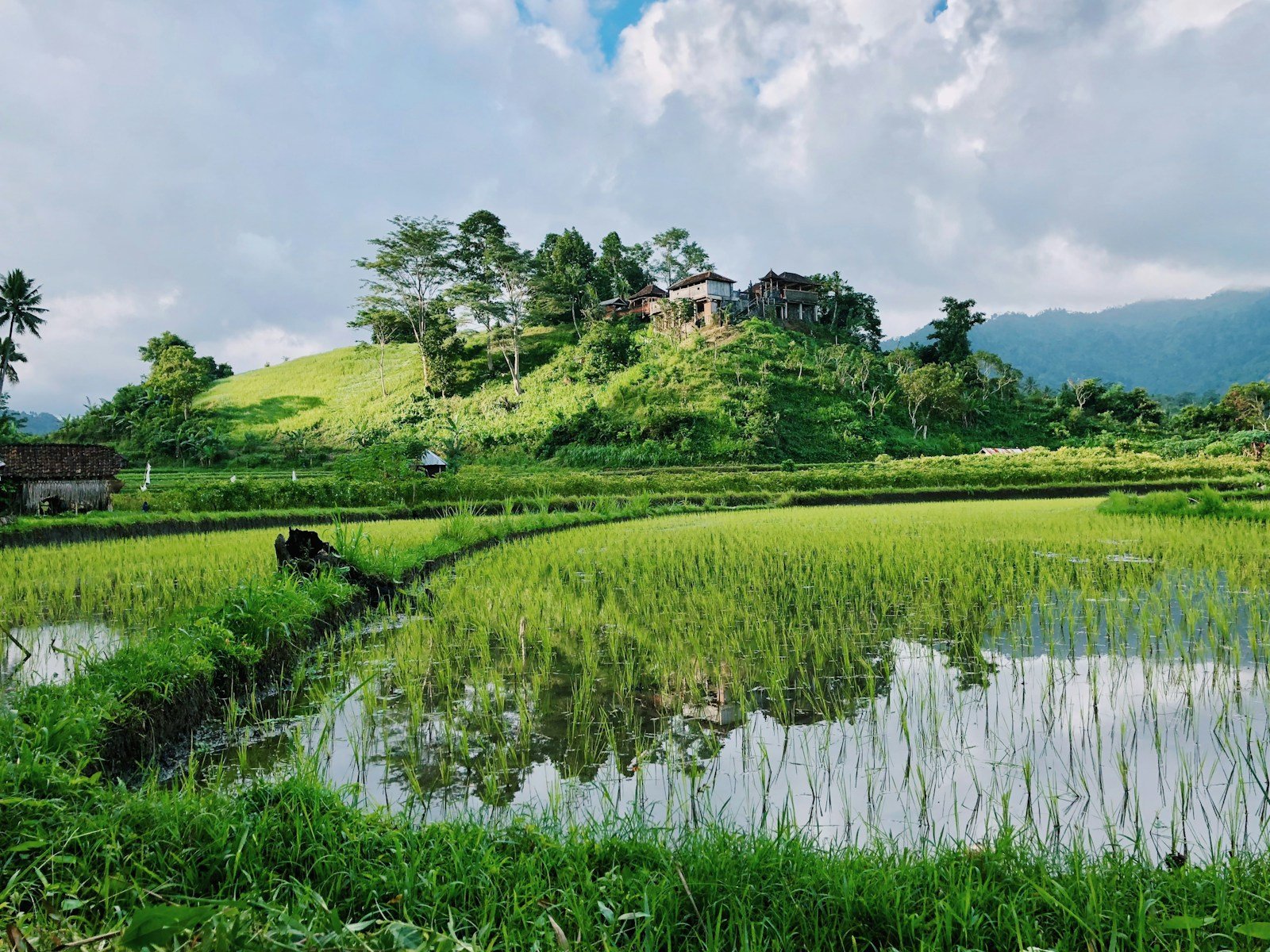 Green Indonesia travel scenery