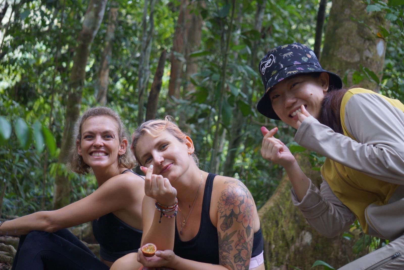 Hikers trekking through the Bukit Lawang rainforest during a 3 Days 2 Nights jungle adventure in Gunung Leuser National Park, Sumatra.