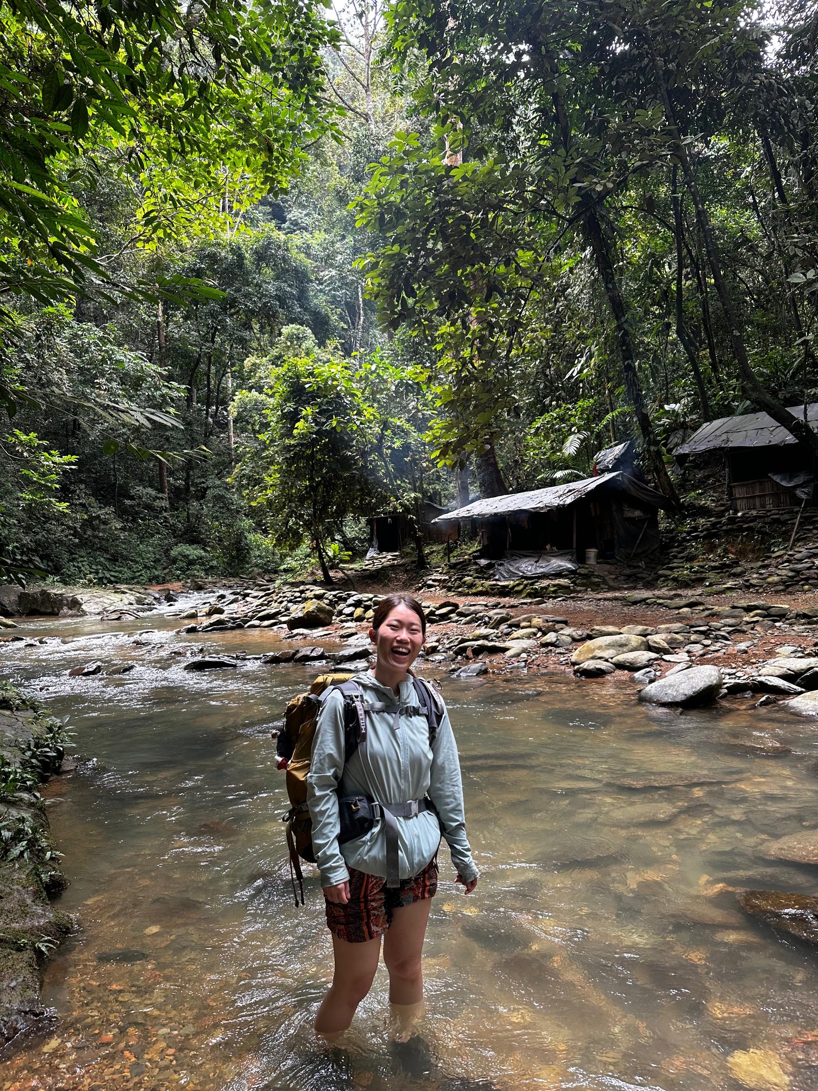 Travelers trekking through the Bukit Lawang rainforest, spotting wild Sumatran orangutans in Gunung Leuser National Park during a 2 Days 1 Night jungle adventure.