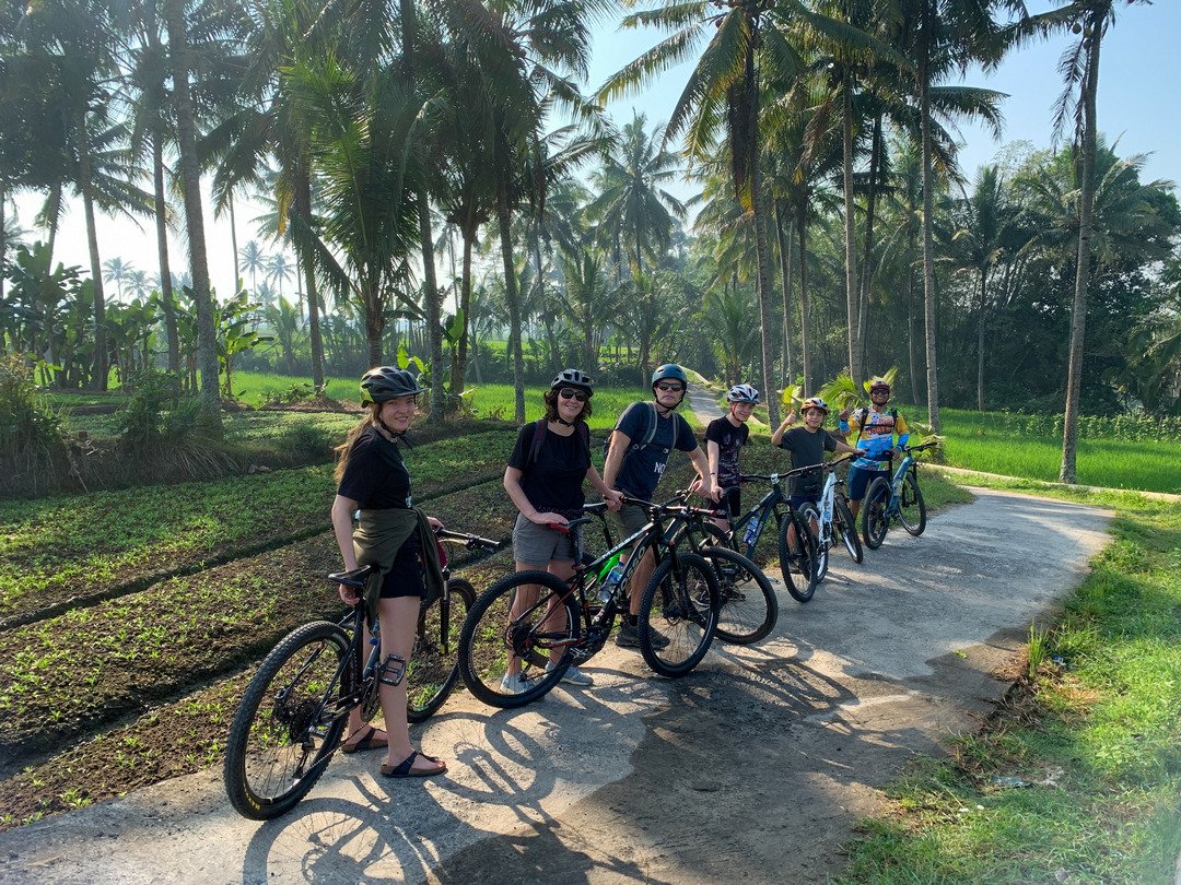 Cycle through Malang's scenic countryside, peaceful villages, lush rice fields, and charming local streets with stunning mountain views.