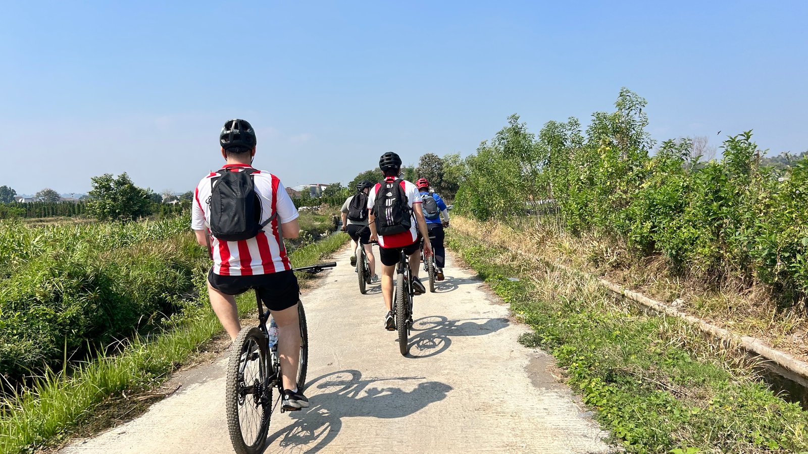 Cycle through Malang's scenic countryside, peaceful villages, lush rice fields, and charming local streets with stunning mountain views.