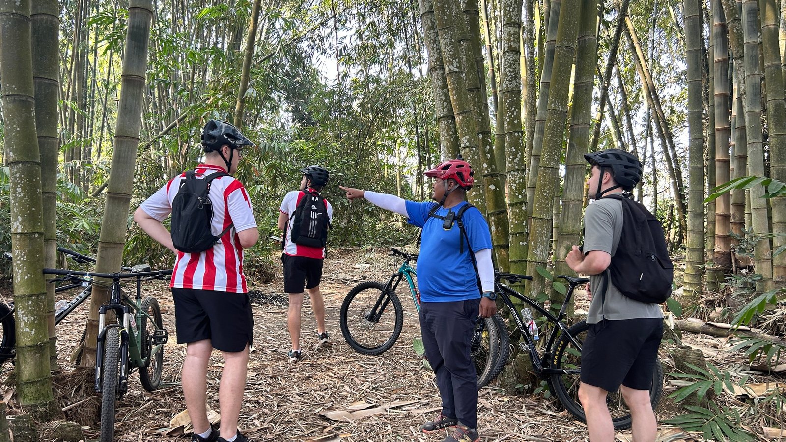 Cycle through Malang's scenic countryside, peaceful villages, lush rice fields, and charming local streets with stunning mountain views.