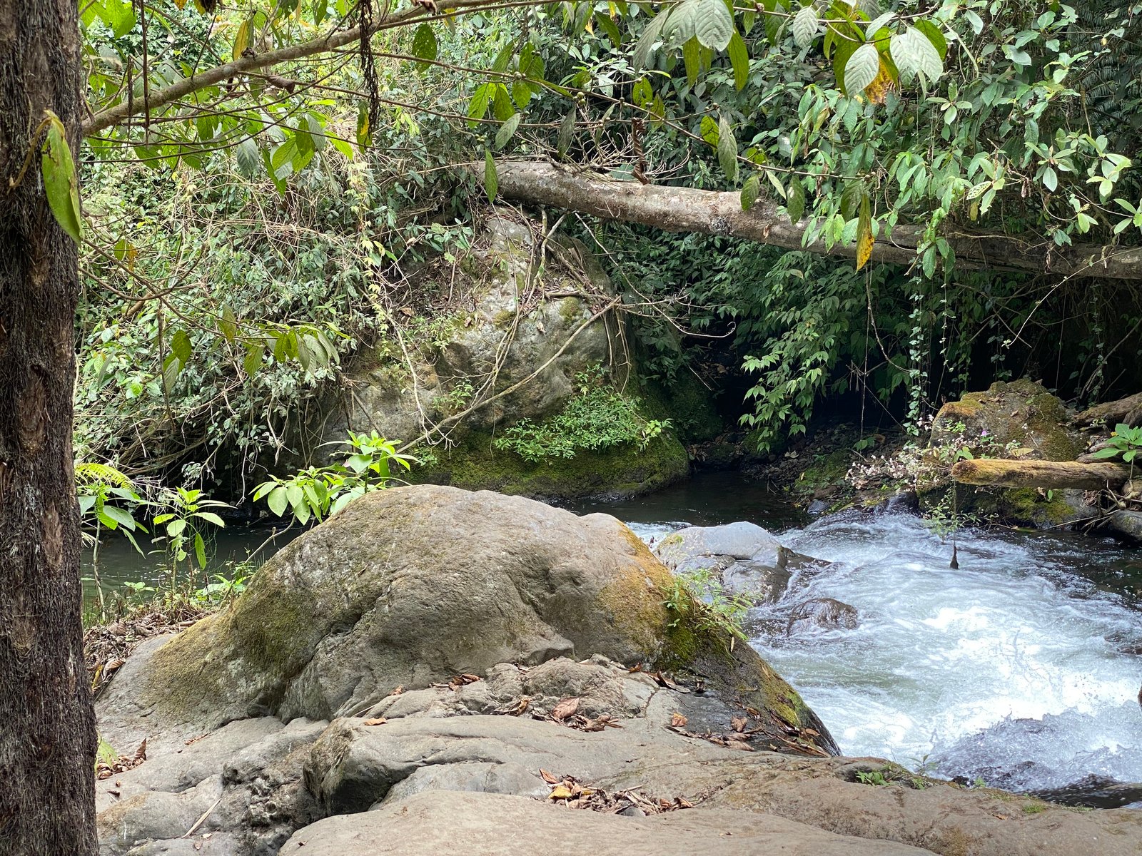 SRIKANDI